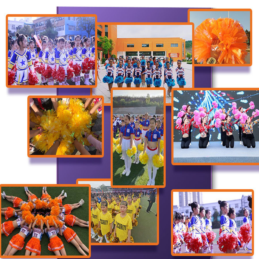 1 Stück Metallic Haustier Chee – Cheerleading Pom Pom Bewertung und Preis