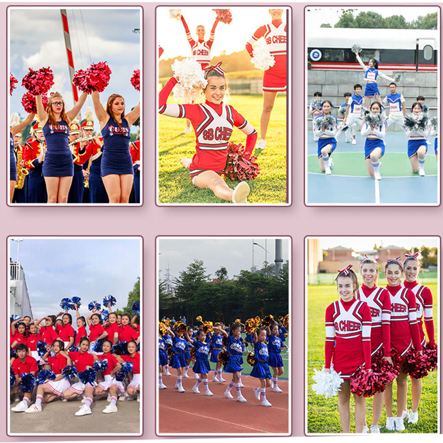 1 Stück Metallic Haustier Chee – Cheerleading Pom Pom Bewertung und Preis